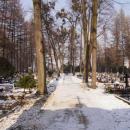 Pszczyna, Cmentarz ewangelicki - fotopolska.eu (281663)