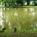 Park Zamkowy 04