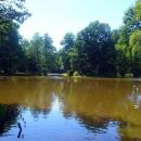 Pszczyna, Park Zamkowy - fotopolska.eu (115193)