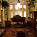 Pszczyna Castle Interior (1800844832)