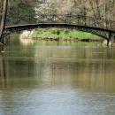 Piękny pszczyński park 08