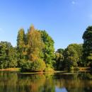 Park w Pszczynie 1