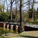 Piękny pszczyński park 10