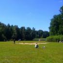 Pszczyna, Park Zamkowy - fotopolska.eu (115190)