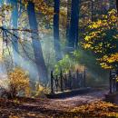 Park zamkowy wPszczynie 01promykjck