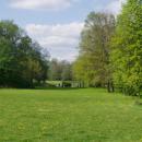 Pszczyna.Park 06