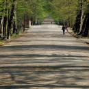Piękny pszczyński park 03