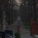 Pszczyna, Park Zamkowy - fotopolska.eu (301506)