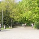 Pszczyna.Park 05