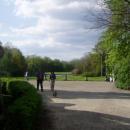 Pszczyna.Park 01