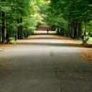 Pszczyński park 04