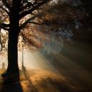 Park zamkowy w Pszczynie 07promykjck