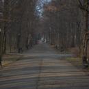 Pszczyna, Park Zamkowy - fotopolska.eu (301505)