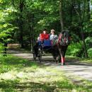 Park Zamkowy 07