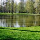 Piękny pszczyński park 06