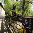 Pszczyna, Park Zamkowy - fotopolska.eu (318818)