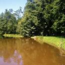 Pszczyna, Park Zamkowy - fotopolska.eu (115192)
