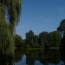 Park zamkowy 2