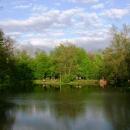 Pszczyna. Park pałacowy2