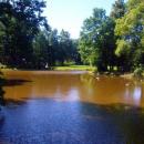 Pszczyna, Park Zamkowy - fotopolska.eu (115189)