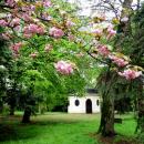 Piękny pszczyński park 13